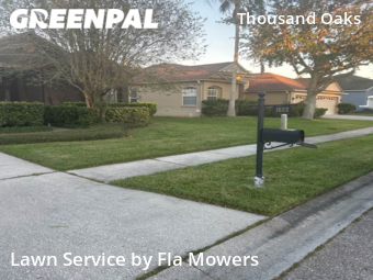 Grass Cutting nearby Trinity, FL, 