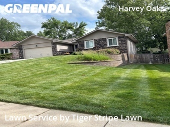 Yard Mowing nearby Omaha, NE, 