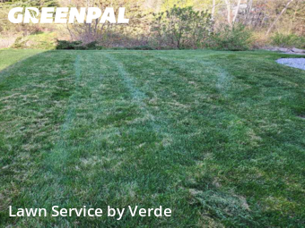 Lawn Cut nearby Manchester, NH, 