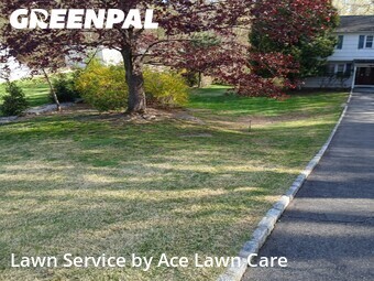 Lawn Care nearby Shelton, CT, 