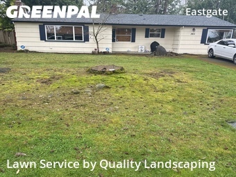 Landscape Design In Bellevue,98006,Landscape Design by Quality Landscaping, work completed in Apr , 2026