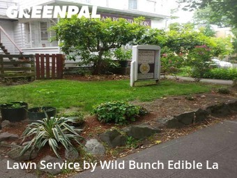 Lawn Care Service nearby Seattle, WA, 