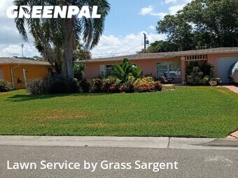 Yard Mowing nearby Dunedin, FL, 