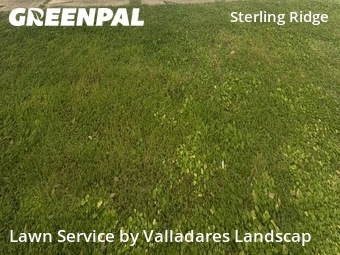 Yard Mowingin The Woodlands,77382,Lawn Care Service by Valladares Landscap, work completed in Oct , 2025