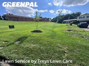 Lawn Care in Dayton, 45449, Lawn Care Service by Treys Lawn Care, work completed in 11 Jun, 2026 