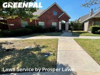 Lawn Mowing Service nearby Frisco, FL, 