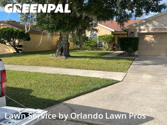 Grass Cut nearby Orlando, FL, 