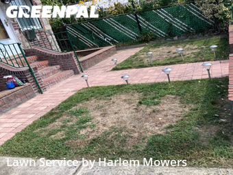 Lawn mowed in Queens, 11413