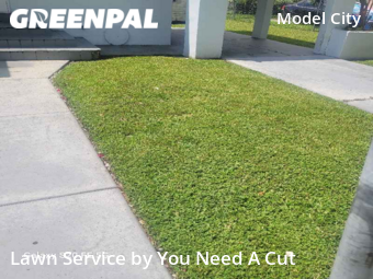 Lawn Cutting nearby Miami, FL, 