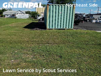 Lawn Cut nearby Converse, TX, 