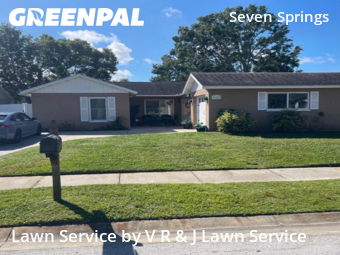 Grass Cutting nearby New Port Richey, FL, 