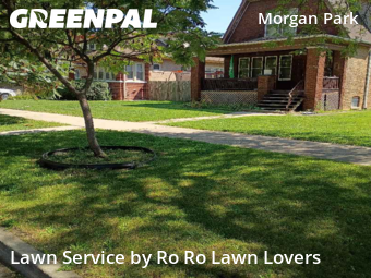 Lawn Mowing nearby Chicago, IL, 