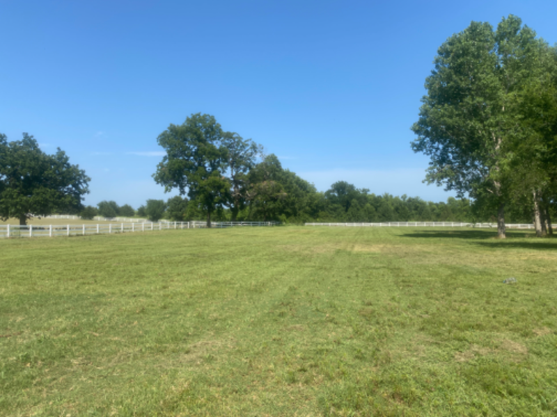 Red Dirt Lawn Care Lawn Care Services in Noble, OK