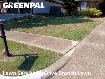 Lawn Cutin Keller,76248,Yard Cutting by Olive Branch Lawn, work completed in Nov , 2025