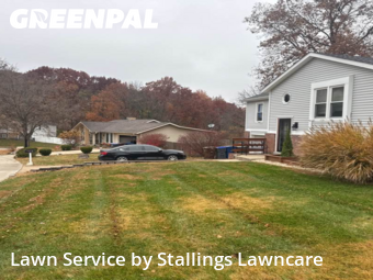 Grass Cut nearby St. Peters, MO, 