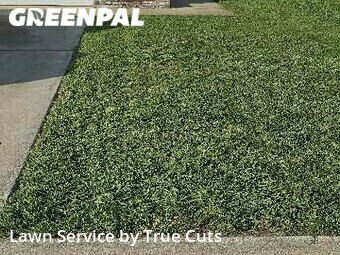 Grass Cut nearby Moore, OK, 