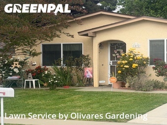 Work completed by lawn-mowing-quotes-in in Simi Valley, CA