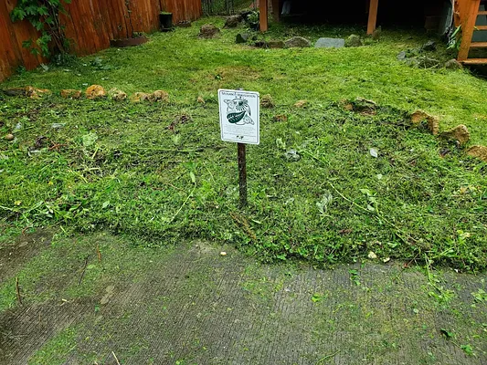 Lawn Love Lawn Care of Washington DC Photo 19