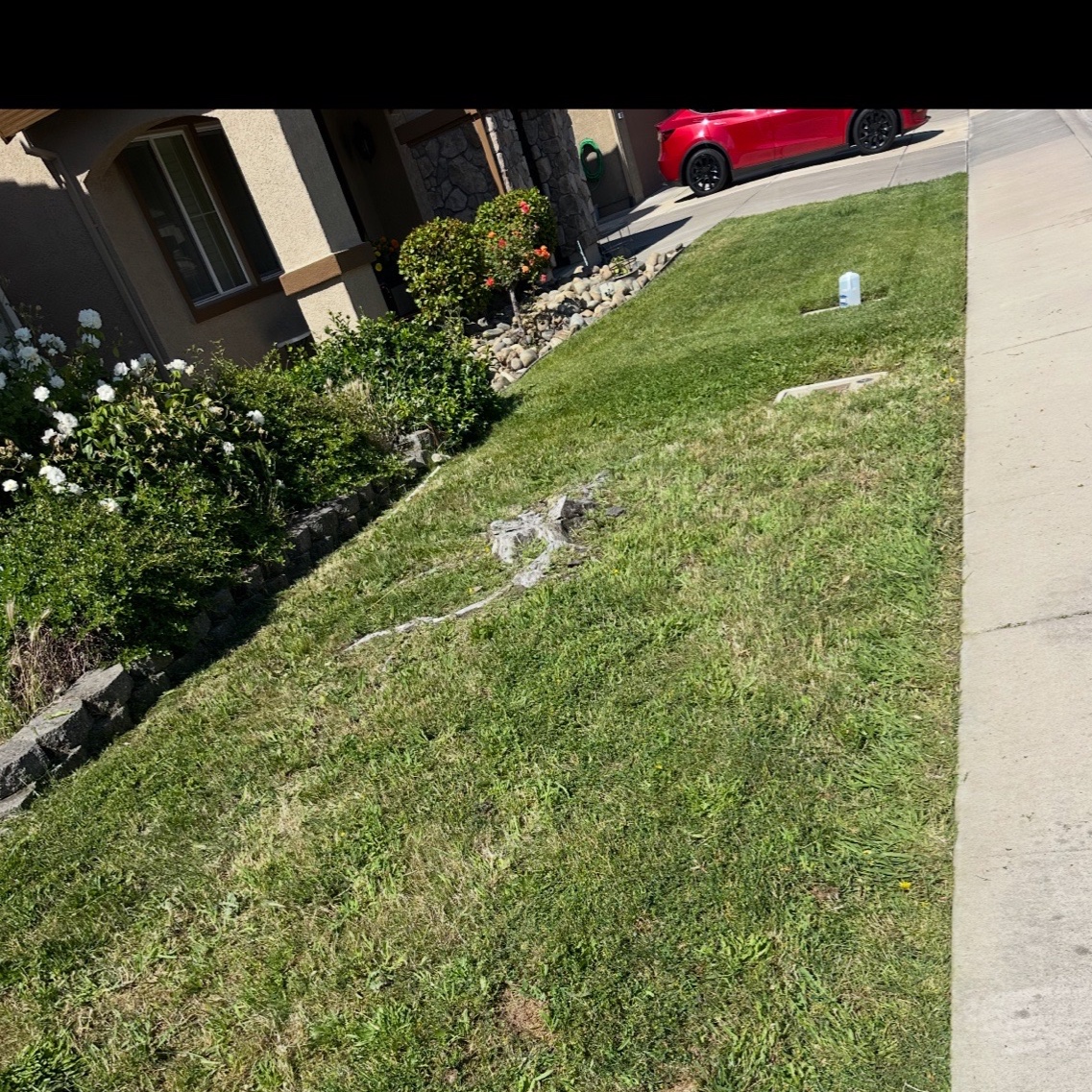 affordable-grass-cutting-businesses-in in Lincoln, CA