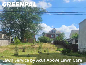 Grass Cut nearby Ross Township, PA, 