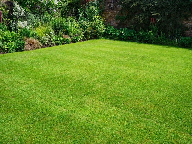 Order Lawn Care in Lincoln, NE, 68521