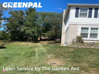 Lawn Carein Chesterfield,63017,Grass Cut by The Garden Ant , work completed in Dec , 2025