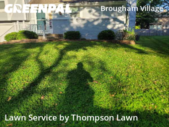 Grass Cut nearby Olathe, KS, 