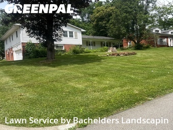 Lawn Mow nearby Mansfield, OH, 