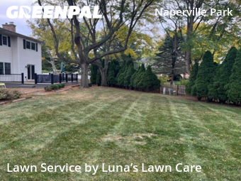 Lawn Mowing nearby Naperville, IL, 