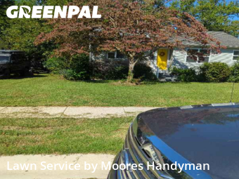 Yard Care Services in Dover, 19904, Lawn Work by Moores Handyman, work completed in Nov , 2025