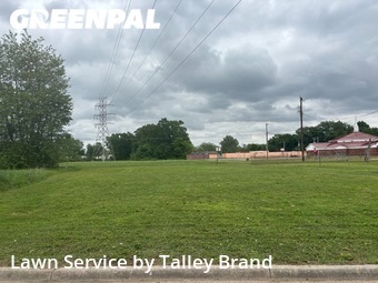 Grass Cut nearby North Little Rock, AR, 