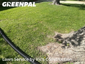 Lawn Mowing Service nearby Joliet, IL, 