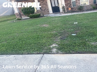 Landscape Design In Augusta,30909,Landscaping Cleanup by 365 All Seasons , work completed in Jun , 2026