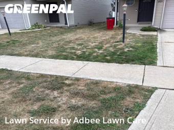 Lawn Upkeep in Champaign, 61822, Yard Care by Adbee Lawn Care, work completed in Nov , 2025