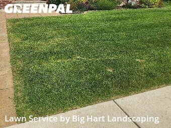 Lawn Mow nearby Clinton Township, MI, 