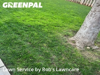 Lawn Cutting nearby Folsom, CA, 