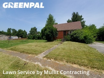 Grass Cutting nearby Lexington, KY, 