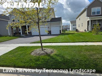 Grass Cutting in Algonquin, 60102, Turf Services by Terranova Landscape, work completed in Dec , 2025