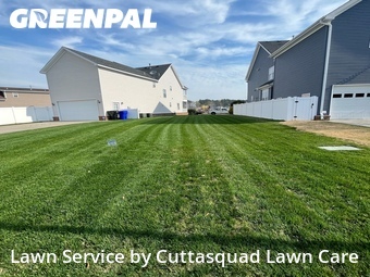 Lawn Cut nearby Virginia Beach, VA, 