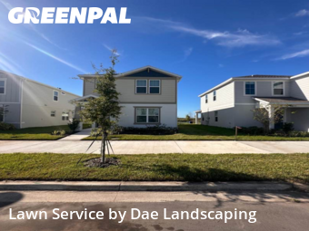 Lawn Cutin Kissimmee,34744,Lawn Care Service by Dae Landscaping, work completed in Nov , 2025