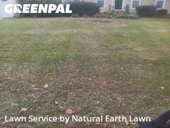 Yard Cutting nearby Elgin, SC, 