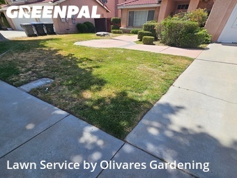 Grass Cut nearby Palmdale, CA, 