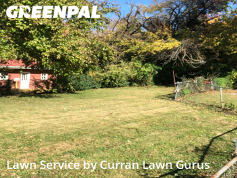 Lawn Service nearby St. Louis, IL, 