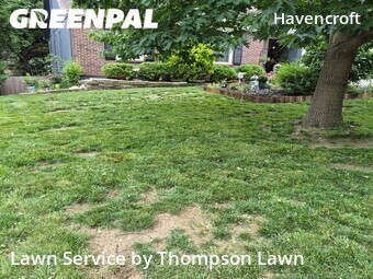 Lawn Maintenancein Olathe,66062,Lawn Mowing Service by Thompson Lawn, work completed in Jun , 2026