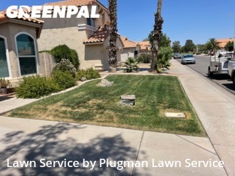 Lawn Mowing Service nearby Chandler, AZ, 
