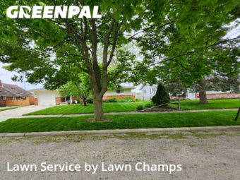 Lawn Cutting nearby Maumee, OH, 