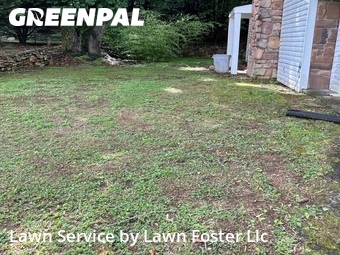Grass Cut nearby Vinton, VA, 