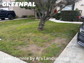 Work completed by lawn-care-experts-in-Manteca-CA