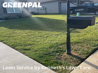 Yard Cutting nearby Moundville, AL, 