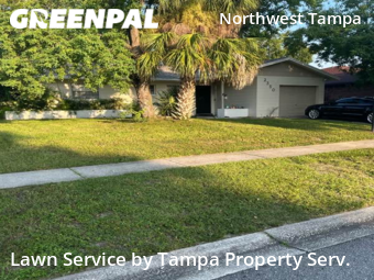 Lawn Mow nearby Tampa, FL, 